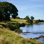 Streams of medicines: what’s hiding in the UK’s waterways? – podcast